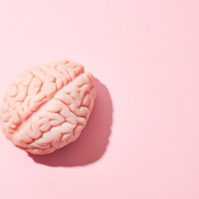 gut-brain connection in IBS